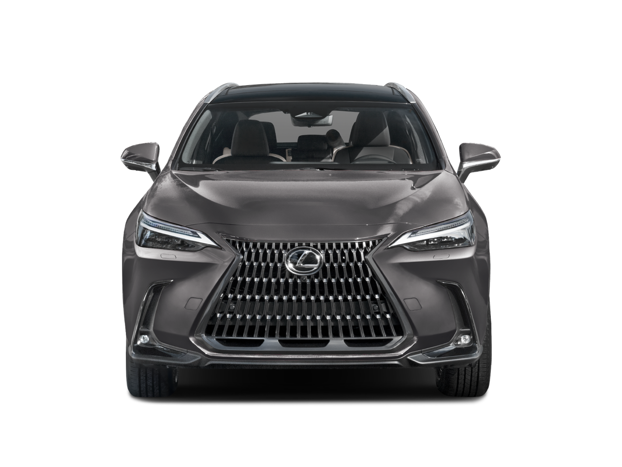 2024 Lexus NX 350h Luxury