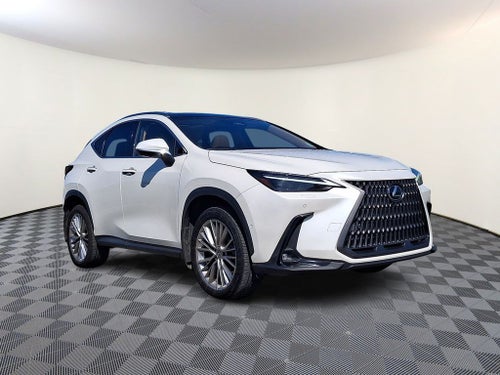 2024 Lexus NX 350h Luxury