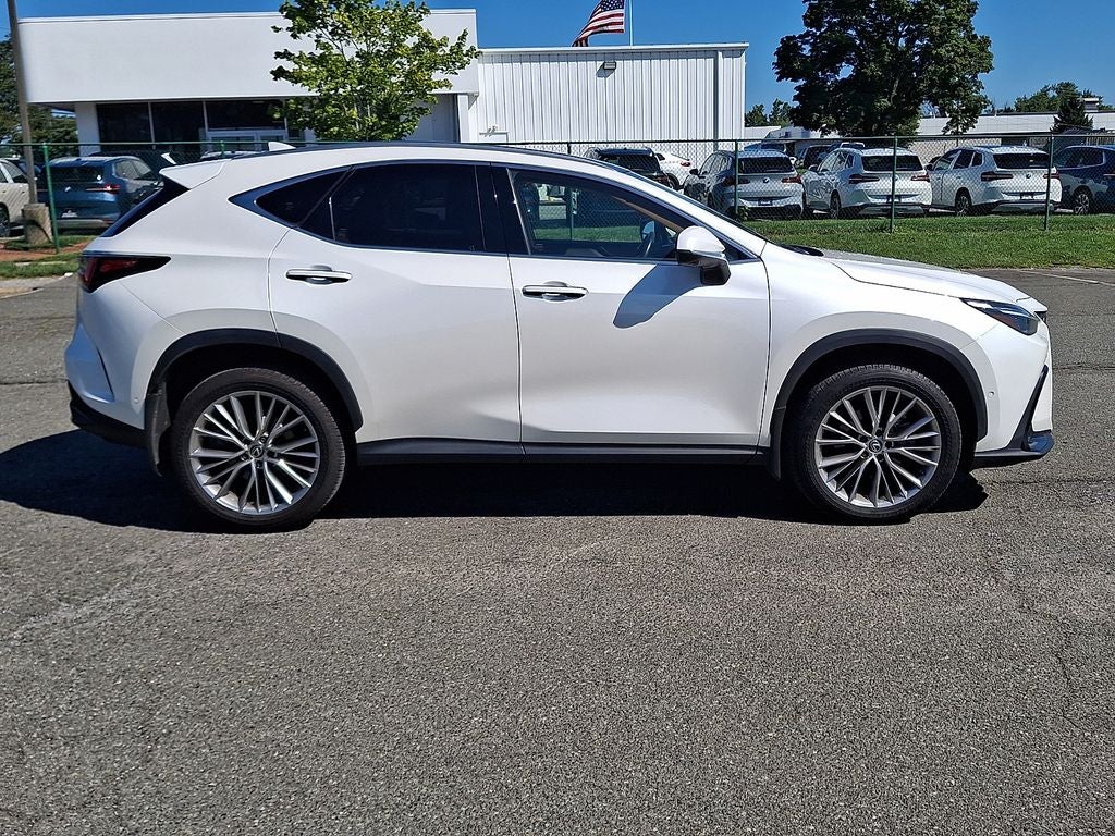 2024 Lexus NX 350h Luxury