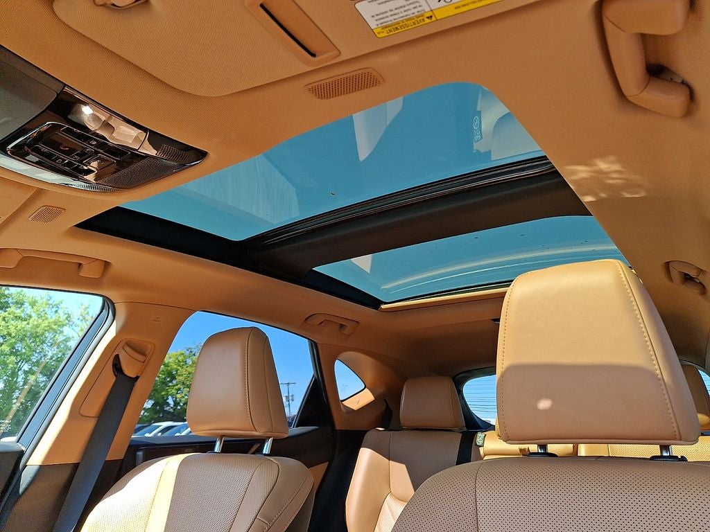 2024 Lexus NX 350h Luxury