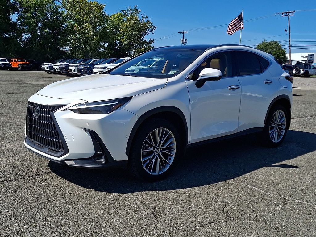 2024 Lexus NX 350h Luxury