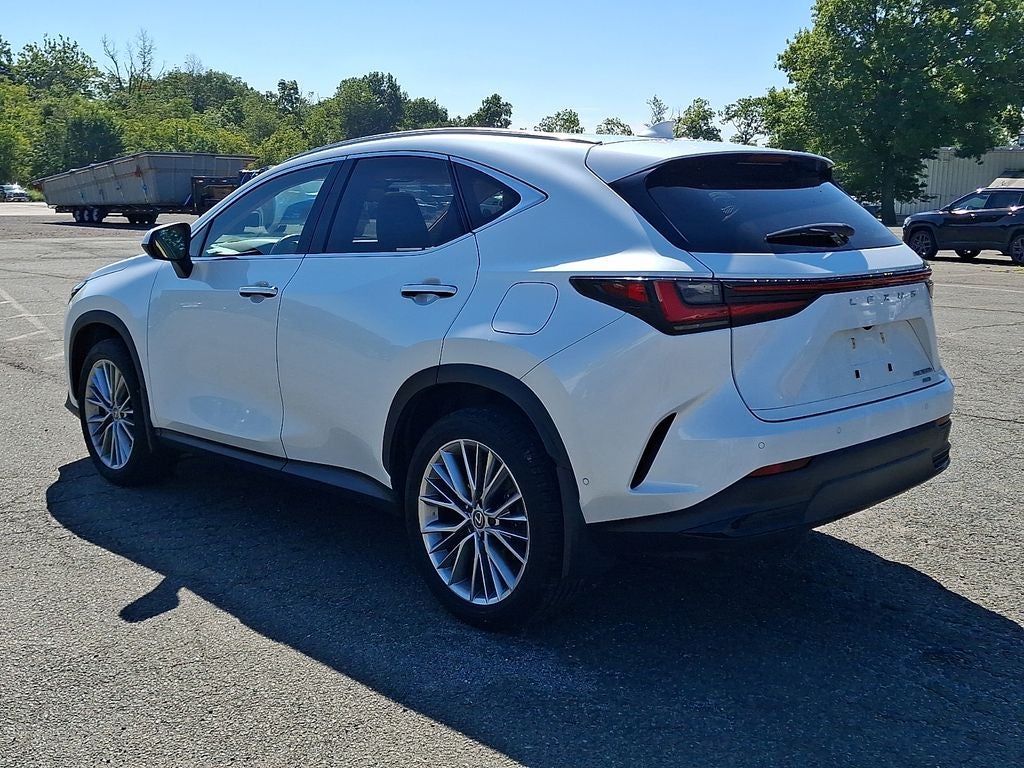 2024 Lexus NX 350h Luxury