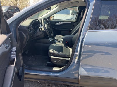 2026 Ford Escape Platinum