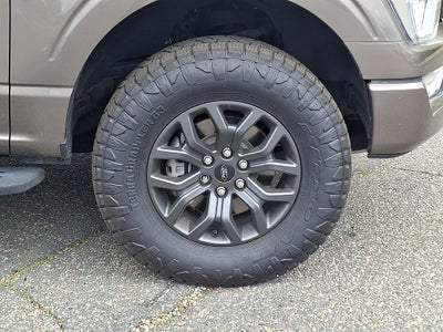 2021 Ford F-150 Tremor