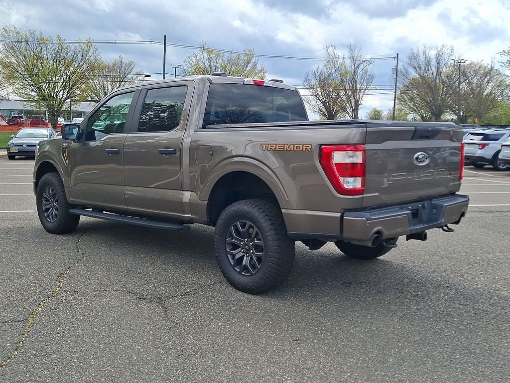 2021 Ford F-150 Tremor