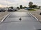 2023 Audi Q5 45 S line Premium Plus quattro