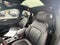 2025 Ford Escape ST-Line Elite