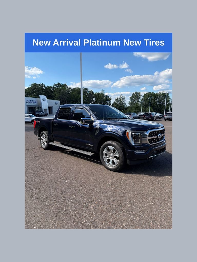 2021 Ford F-150 Platinum