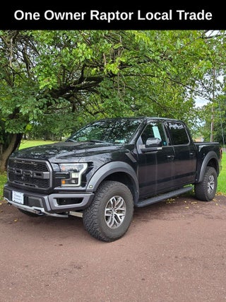 2017 Ford F-150 Raptor