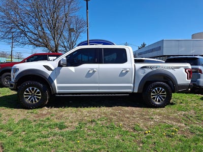 2019 Ford F-150 Raptor