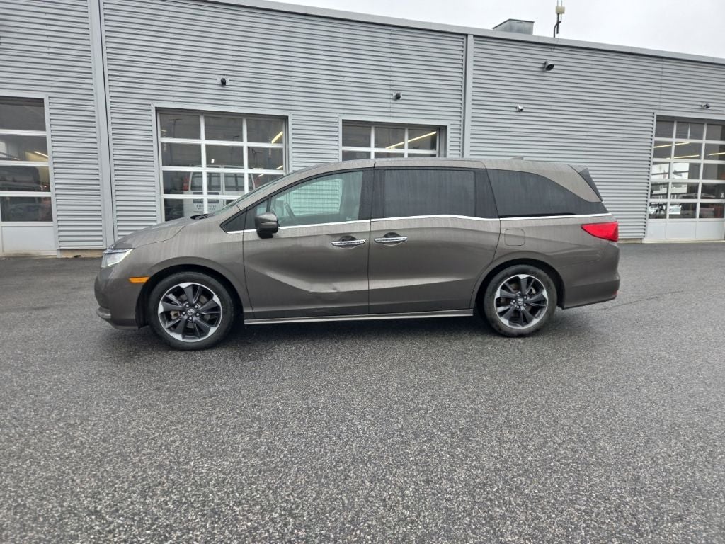 2021 Honda Odyssey Elite