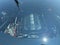2025 Chevrolet Corvette Stingray 2LT