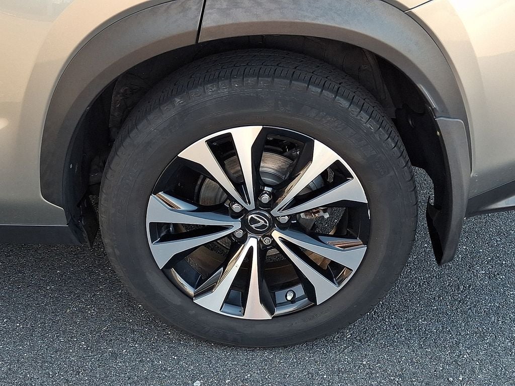 2020 Lexus NX 300 F Sport