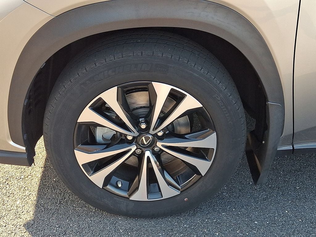 2020 Lexus NX 300 F Sport