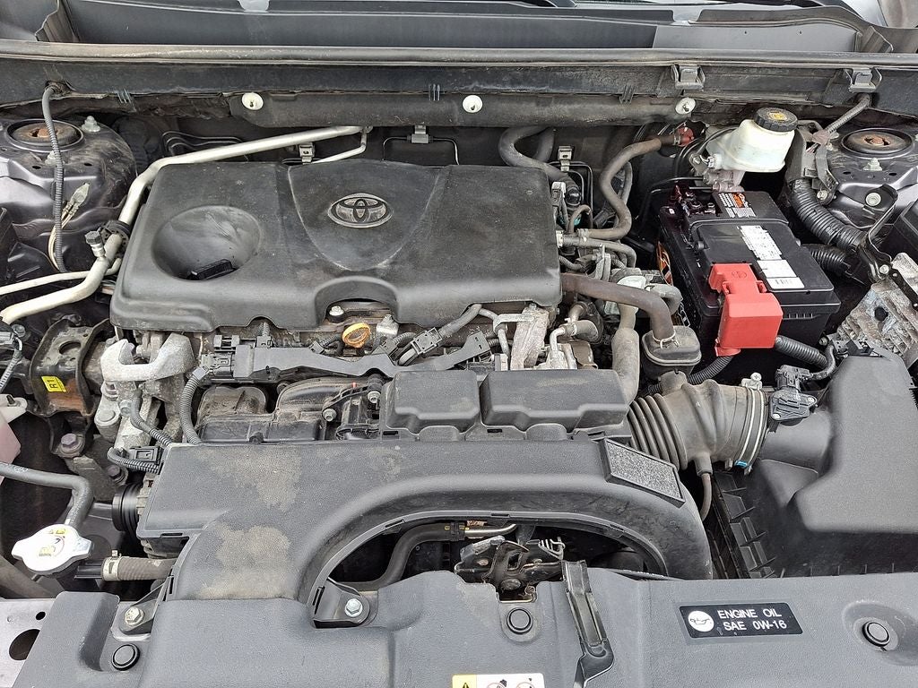 2019 Toyota RAV4 XLE