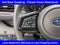 2025 Subaru Ascent Onyx Edition