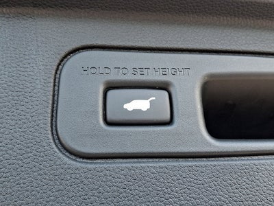 2024 Honda Pilot EX-L 8 Passenger
