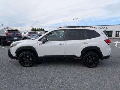 2024 Subaru Forester Wilderness