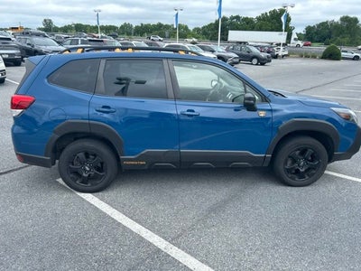 2023 Subaru Forester Wilderness