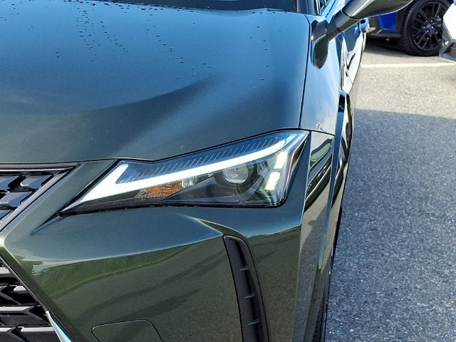 2025 Lexus UX 300h Premium