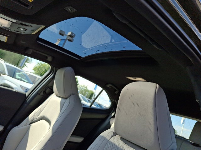 2025 Lexus UX 300h Premium