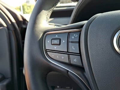 2025 Lexus UX 300h Premium