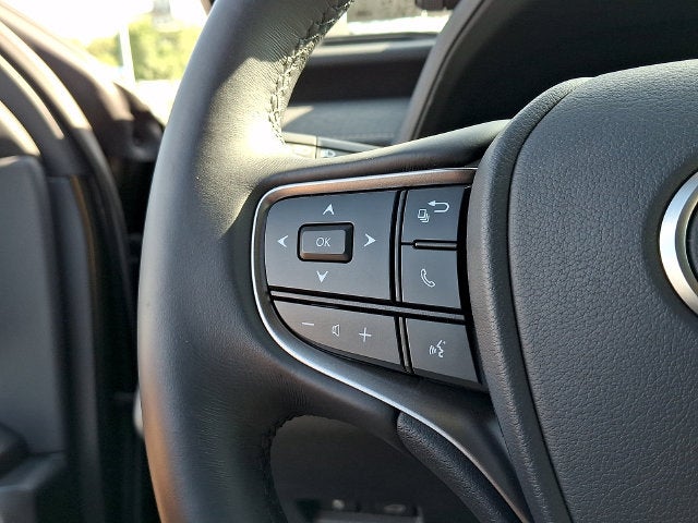 2025 Lexus UX 300h Premium