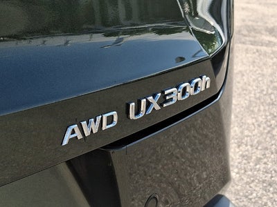 2025 Lexus UX 300h Premium