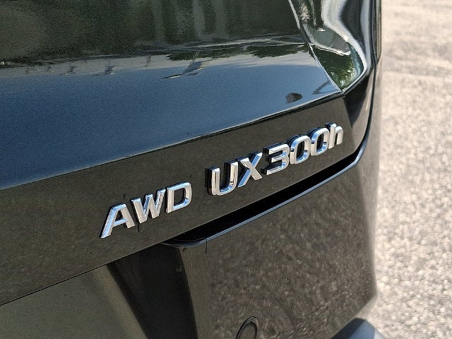 2025 Lexus UX 300h Premium