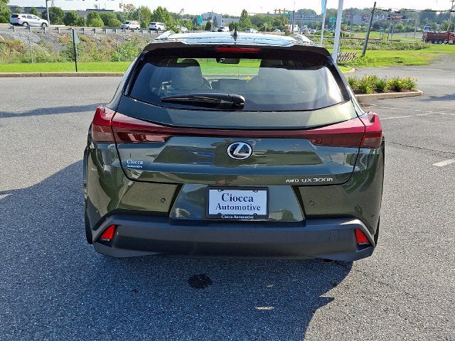 2025 Lexus UX 300h Premium