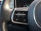 2021 Kia Sorento Hybrid EX