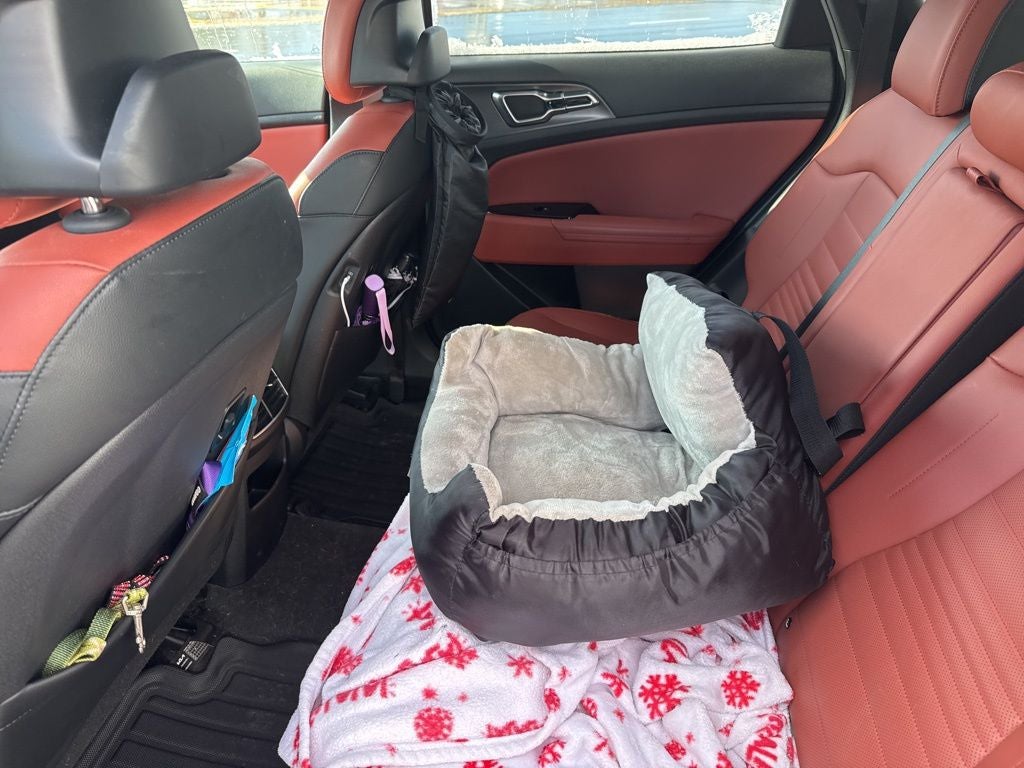 2023 Kia Sportage SX