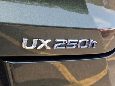 2021 Lexus UX 250h Base