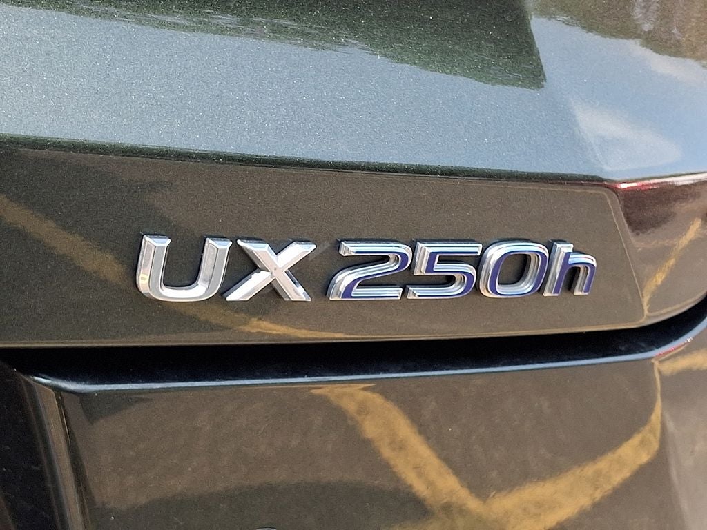 2021 Lexus UX 250h Base