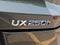 2021 Lexus UX 250h Base