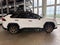 2024 Toyota RAV4 Hybrid Woodland Edition