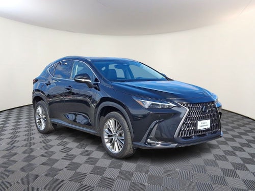 2025 Lexus NX 350 Premium