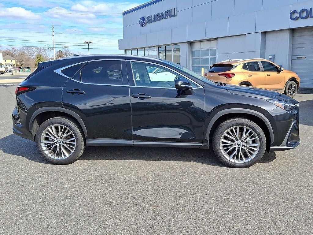 2025 Lexus NX 350 Premium