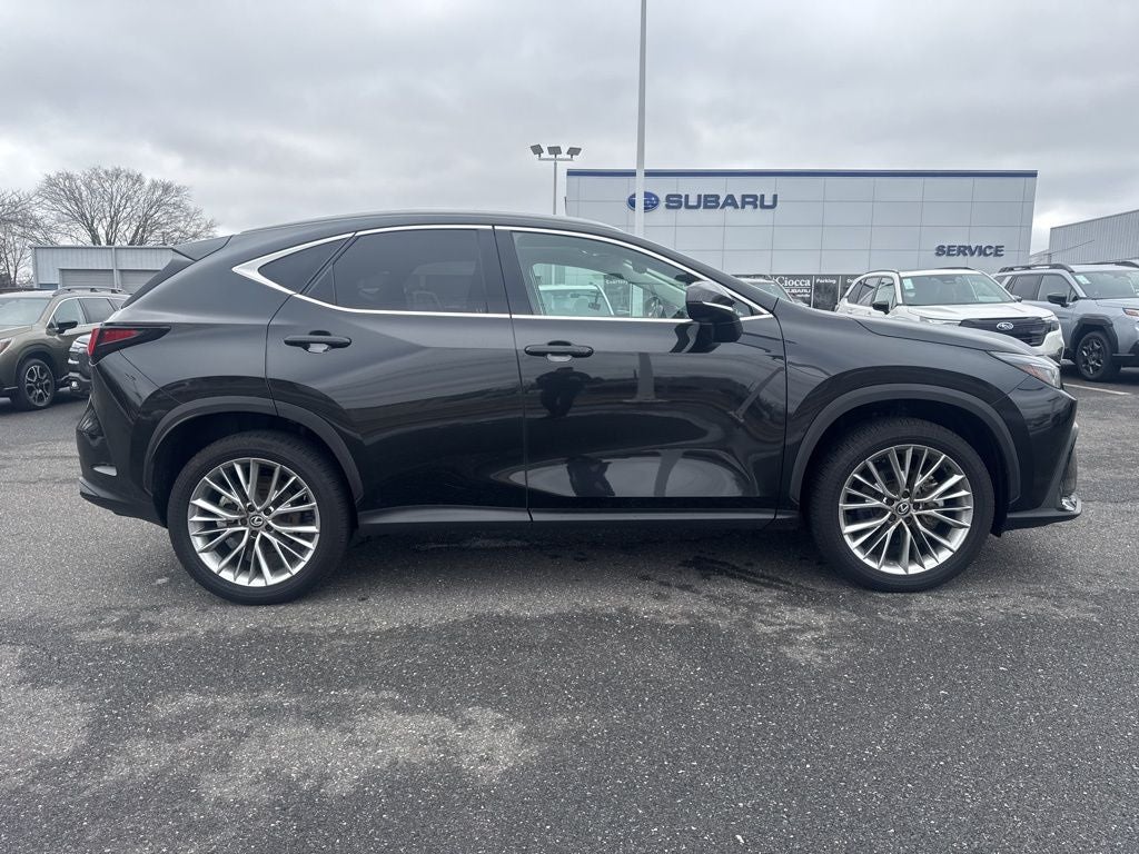 2025 Lexus NX 350 Premium