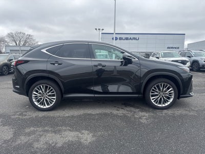 2025 Lexus NX 350 Premium