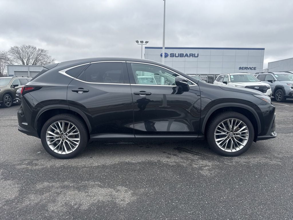 2025 Lexus NX 350 Premium