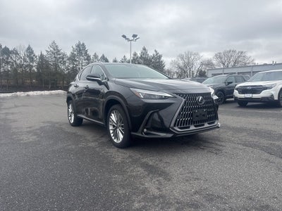 2025 Lexus NX 350 Premium
