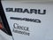 2025 Subaru WRX tS